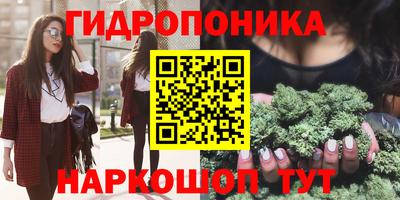 соль ск Кандалакша