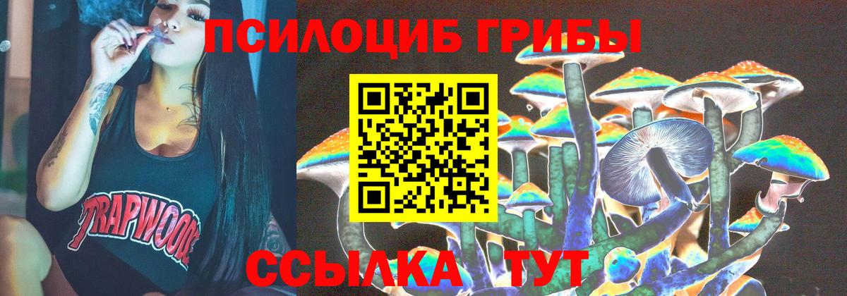 Галлюциногенные грибы MAGIC MUSHROOMS Краснознаменск